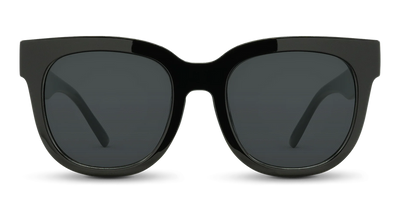 Nectar Sunglasses Chatham Glossy Black/ Black